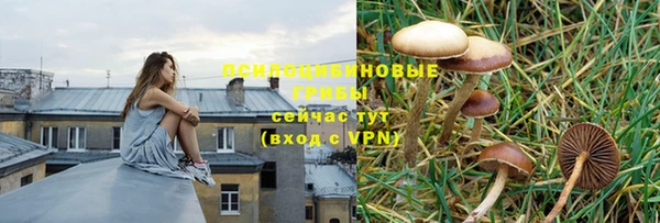 кристаллы Белокуриха