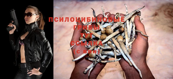 МДПВ Беломорск