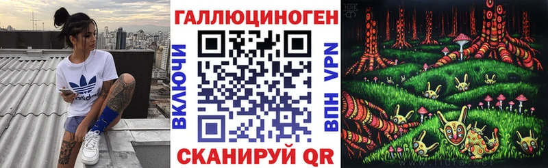 сколько стоит  Казань  Псилоцибиновые грибы Psilocybe 